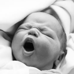 Baby2