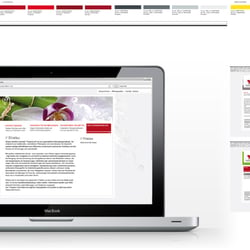 Webdesign: Physiotherapie Praxies (2009)