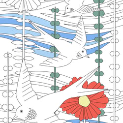 birds