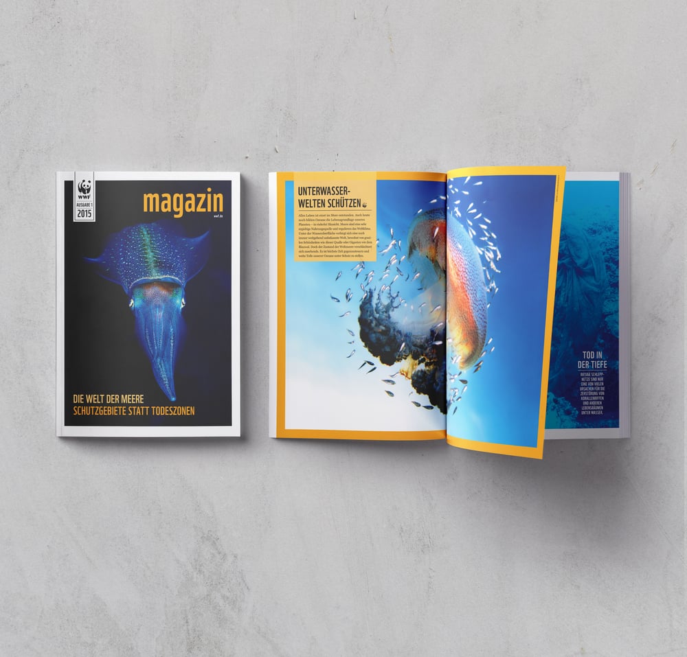 Editorial Design „Wwf Magazin“