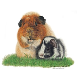 Schweinchen