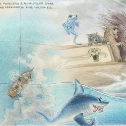 Auf der Planke