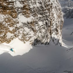 Bird view