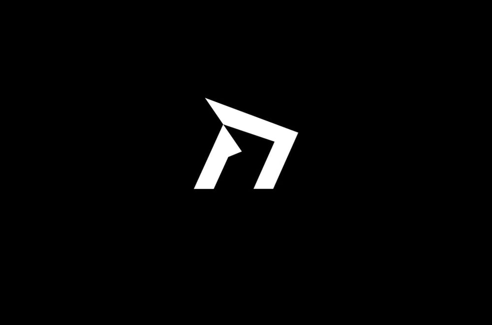 Next Sport Logo Final