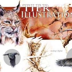 13. Tiere