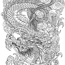 Imperial Dragon