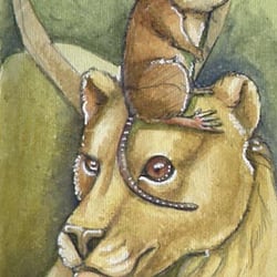 Taxidermy-07