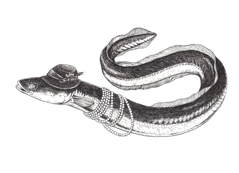 Aal