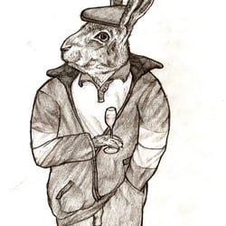 Hase