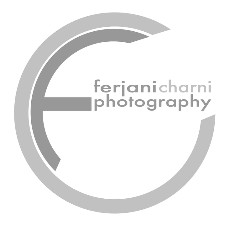 Ferjani Charni