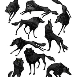 wolf character
