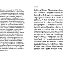 Fließtext