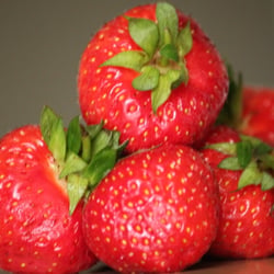 Food Fotografie 2012