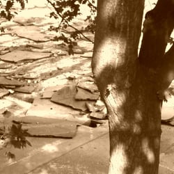 Natur 2012