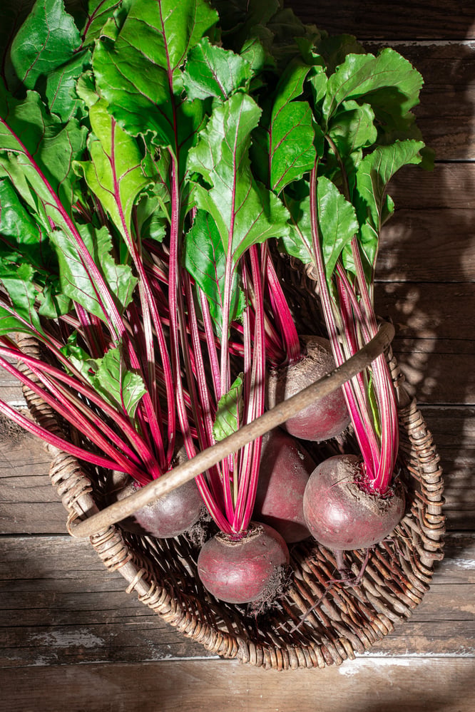 foodfotografie-rote-bete-studio-leipzig-carolin-reschke-1