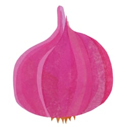 Organicator Illus