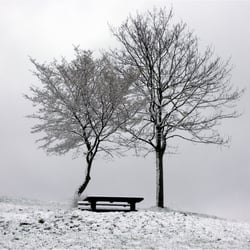 Winter am Götzenberg 1997k
