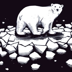 No Monkey Business – Eisbär