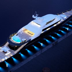 night birdview