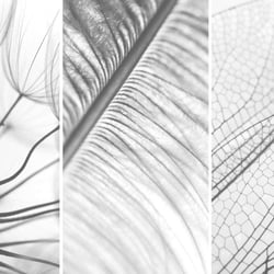 CarlaWeber Web53