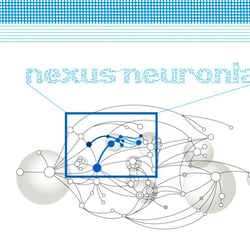 Nexus Neuronia