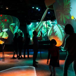 Changi Singapur Garden of Harmony Video installation