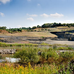 Landschaft 494 SKAL