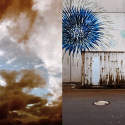 Portfolio digitoxic 06