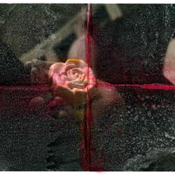 Alternative Process 2015 / #4