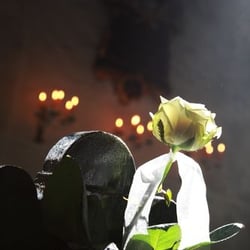 Hochzeitsfotografie