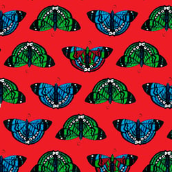 schmetterling 2