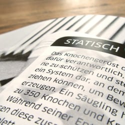 Detail: Faktenkasten über Gegensatzpaar
