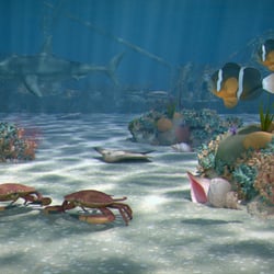 Ocean Life