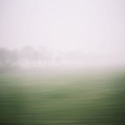 By Angela Hechtfisch „Nebel“