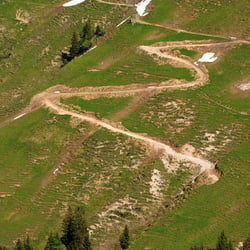 DSC1971