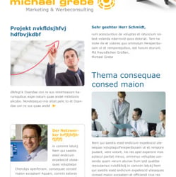 E-Mail-Newsletter für einen Marketingberater