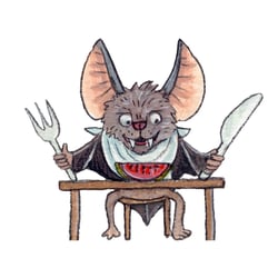 Fledermaus bei Tisch