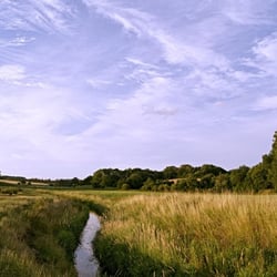 DSC04983