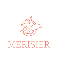 merisier GmbH