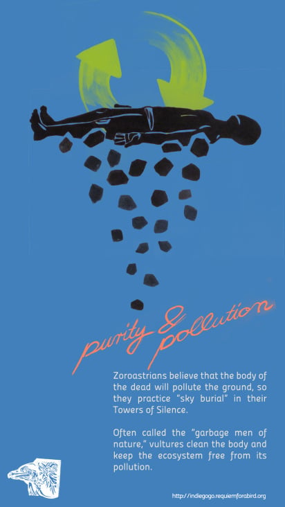 REQUIEM FOR A BIRD / Illustrationen