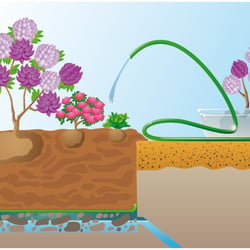 Gartenillustration