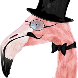 Flamingo Hipster