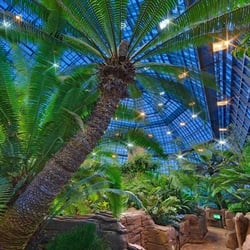 Tropische Nacht im Botanischen Garten Berlin (1)