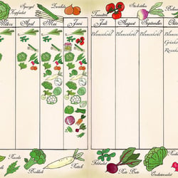 Erntekalender