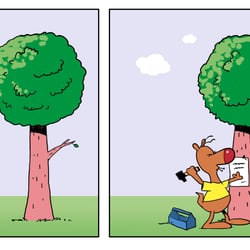 Wellensittich entflogen