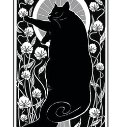 Various Manifestations of a Black Cat I