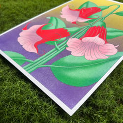 Brugmansia, Risographie Druck