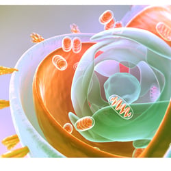Virus 2 Artwork