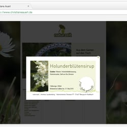 Website (statisch)