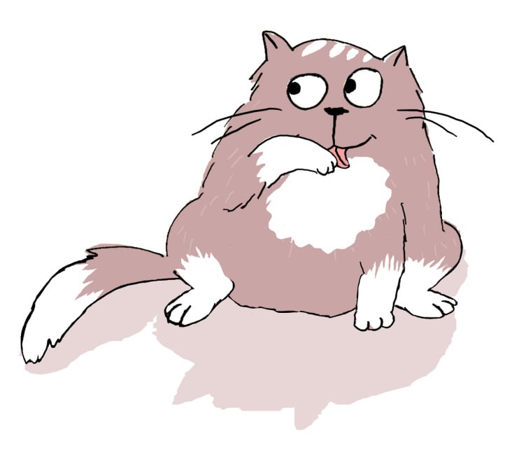 aus CAT SECRETS – besser leben à la Katz